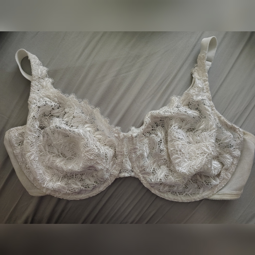 Playtex Secrets Sexy Rosebud Lace Cream Bra Size 44DD # 4302 Discontinued Style